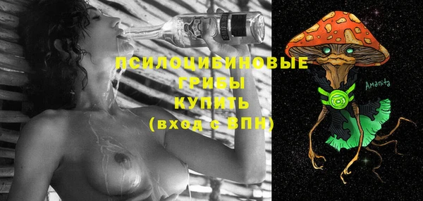 кокс Белокуриха